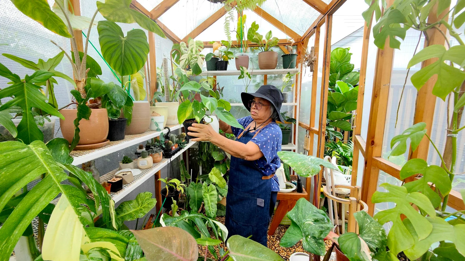 観葉植物・ガーデニングの仕事とキャリアの判断に関わる担当者と業務の様子
