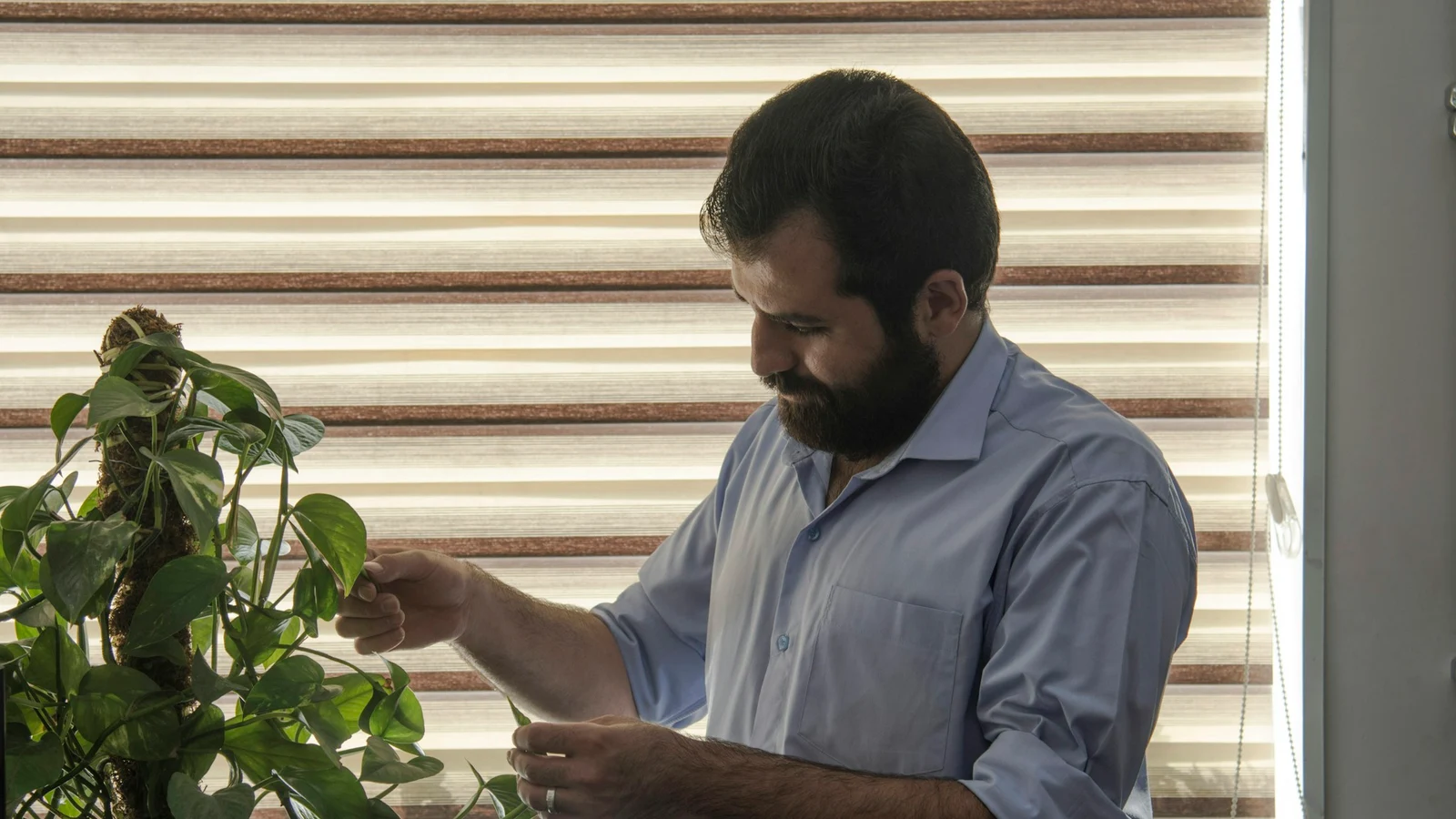 観葉植物・ガーデニングの環境移行の実行計画の条件を関係者が確認する実務場面