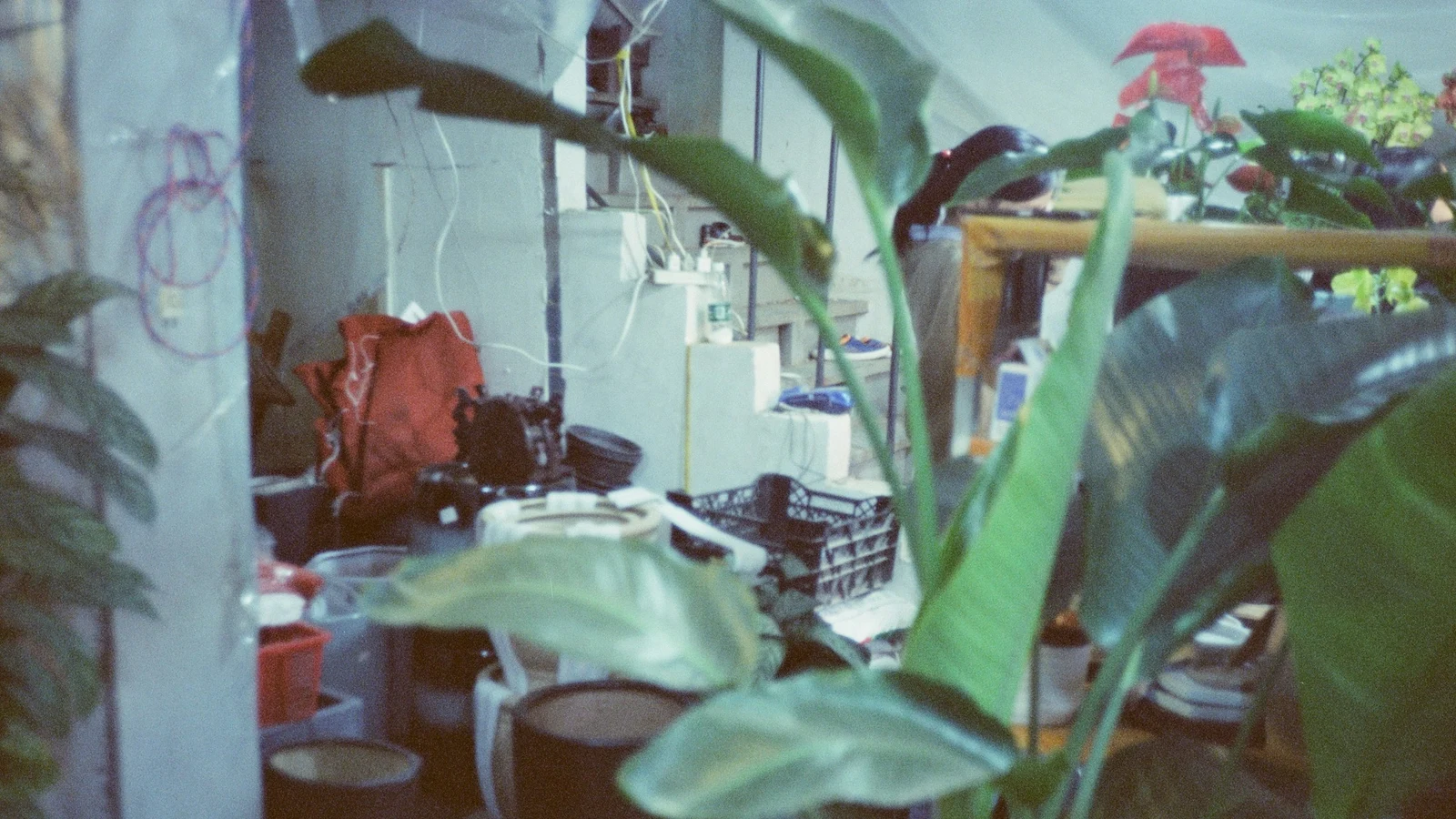 観葉植物・ガーデニングの環境移行の実行計画の証拠となる設備・道具・記録の細部