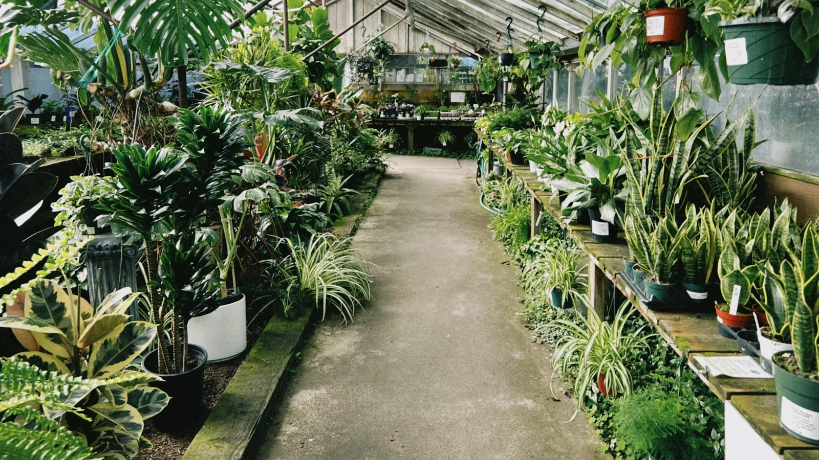 トラブル時に迷わない｜観葉植物・ガーデニング業界｜成果・作業・協力義務を整理