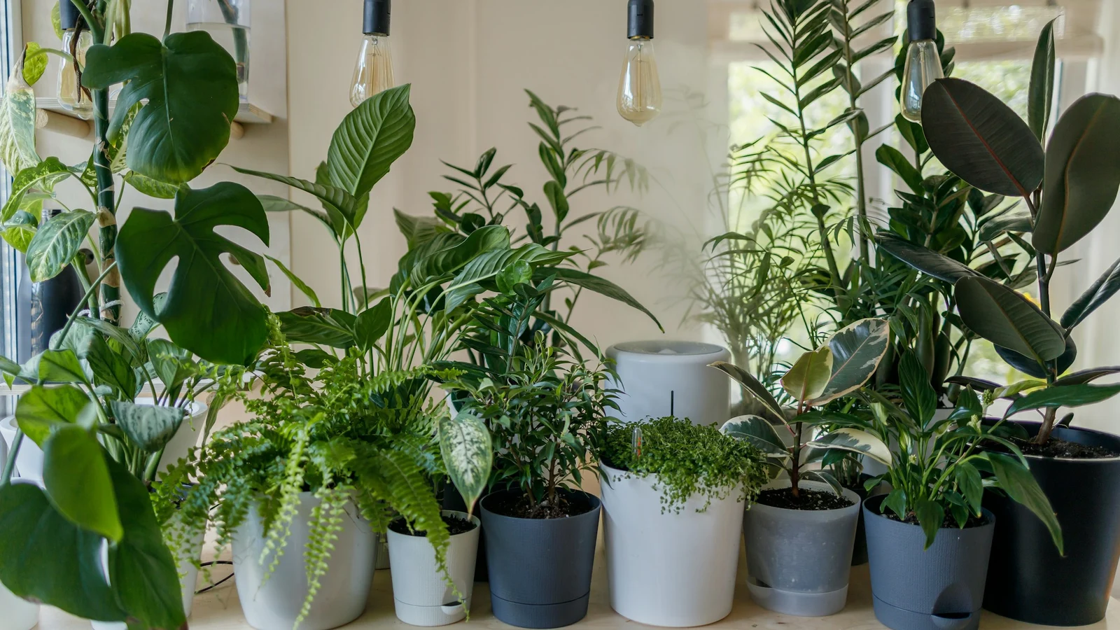 自社へ残す仕事を選ぶ｜観葉植物・ガーデニング業界｜判断・実行・監督を分ける