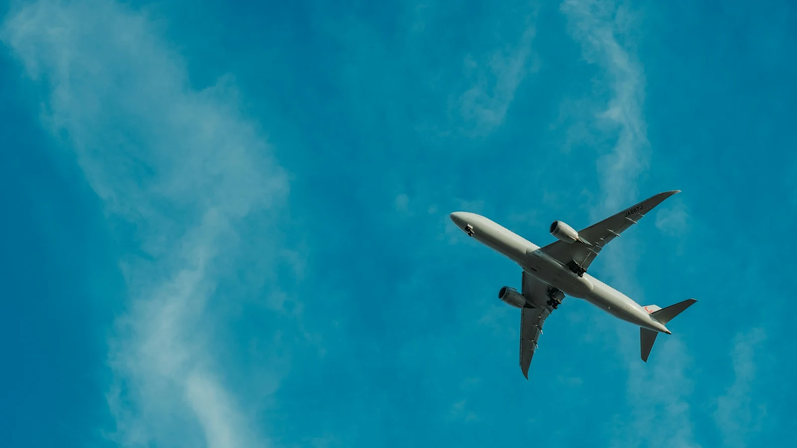 繁忙へ備える実務｜航空業界｜需要変動と処理能力を分ける