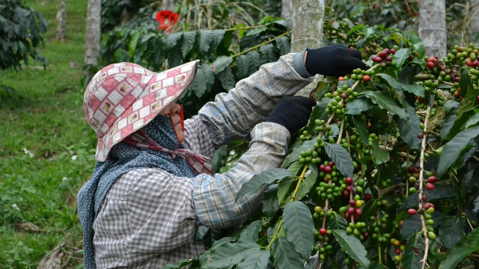 コーヒー・喫茶の記録管理と保存設計の条件を関係者が確認する実務場面の実写