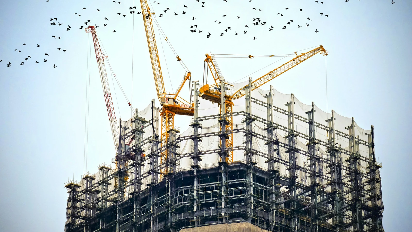 建設の価格設計と単位採算の条件を関係者が確認する実務場面の実写