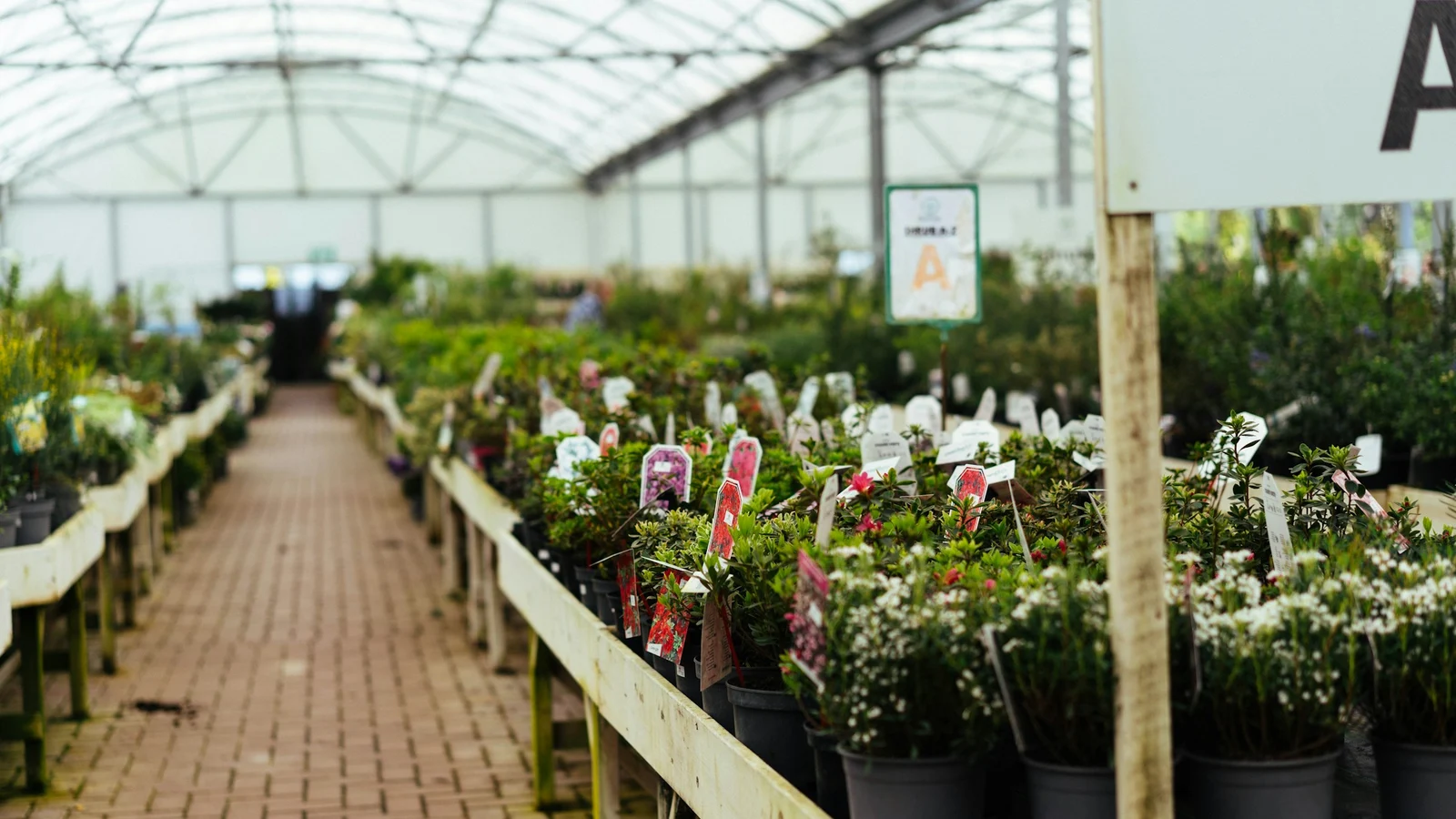 循環型へ移る実務｜観葉植物・ガーデニング業界｜品質と安全を落とさず延命する