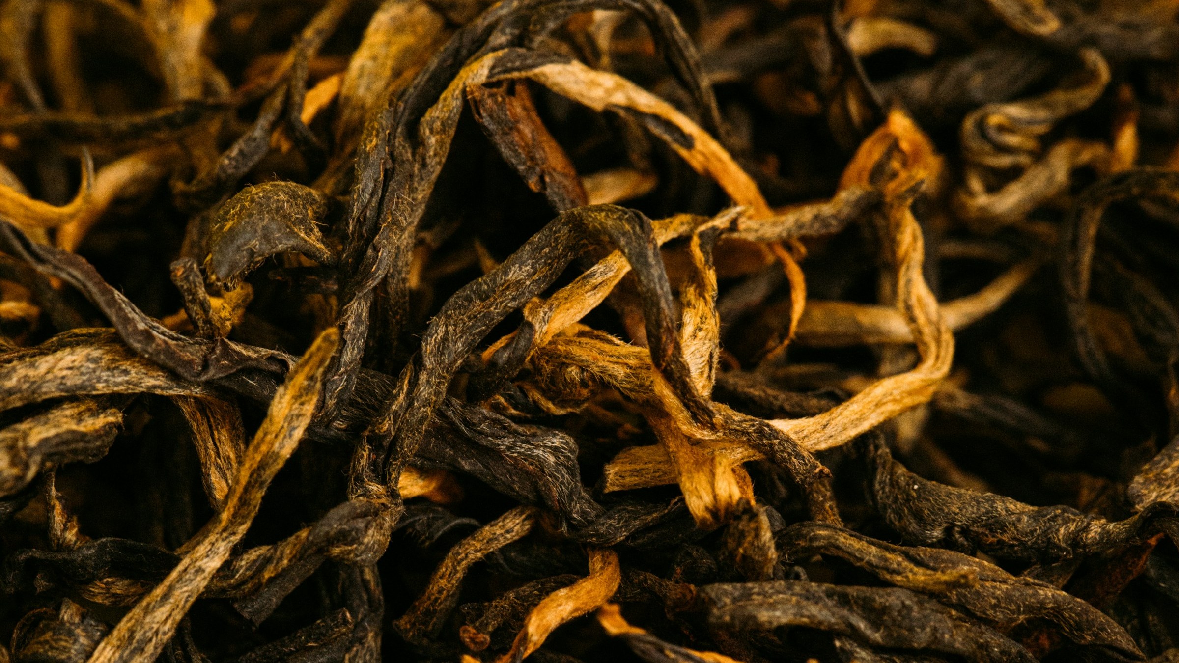乾燥した金芽紅茶の茶葉を極接マクロで捉えた抽象構図。黒褐色に発酵した長くカールした葉と金色の芽先(tippy)のテクスチャ。完全発酵茶=紅茶の素材を象徴する一枚。