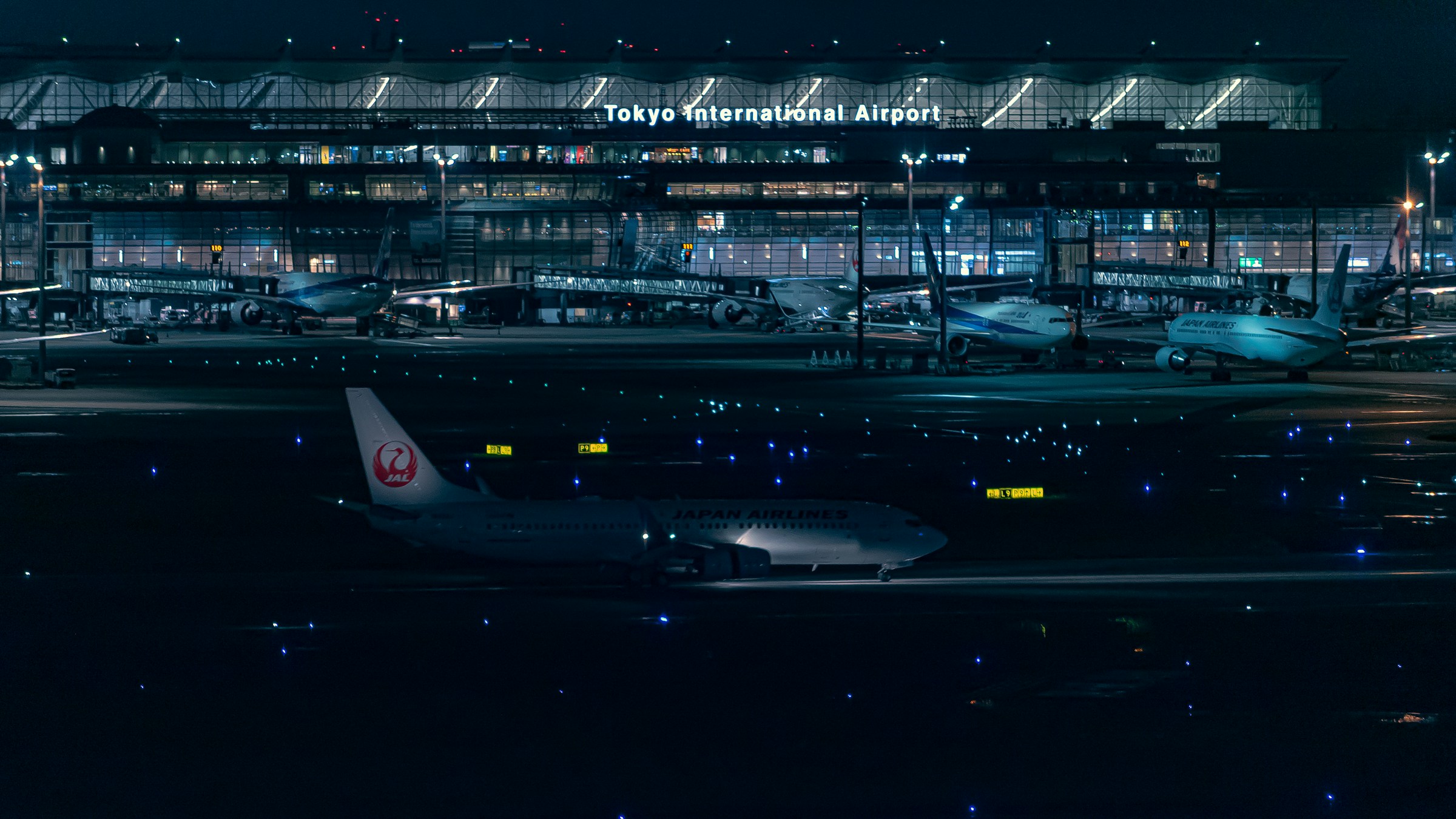 複数の航空機が並ぶ空港の全景。
