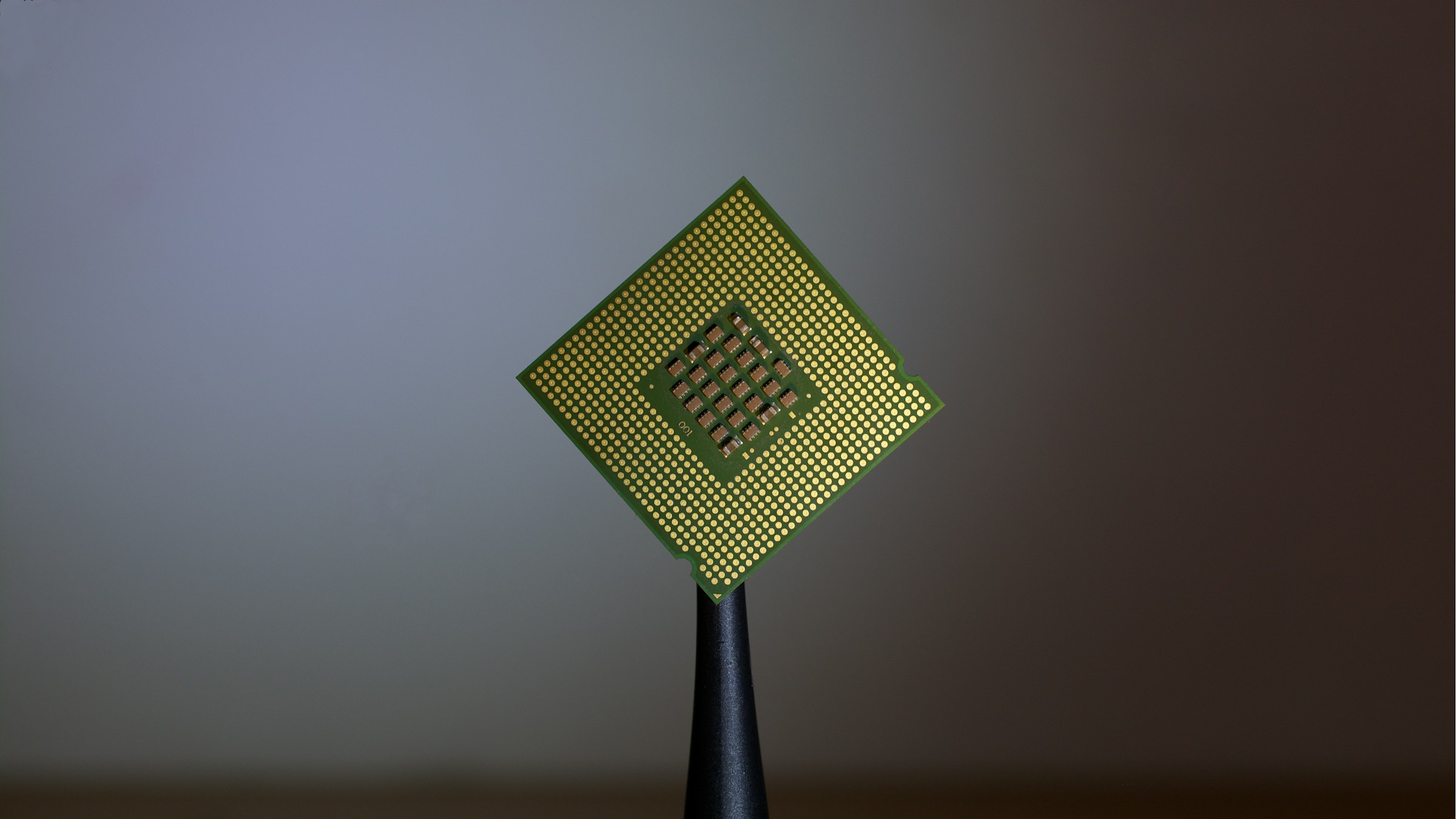 半導体プロセッサを手に持つ様子。