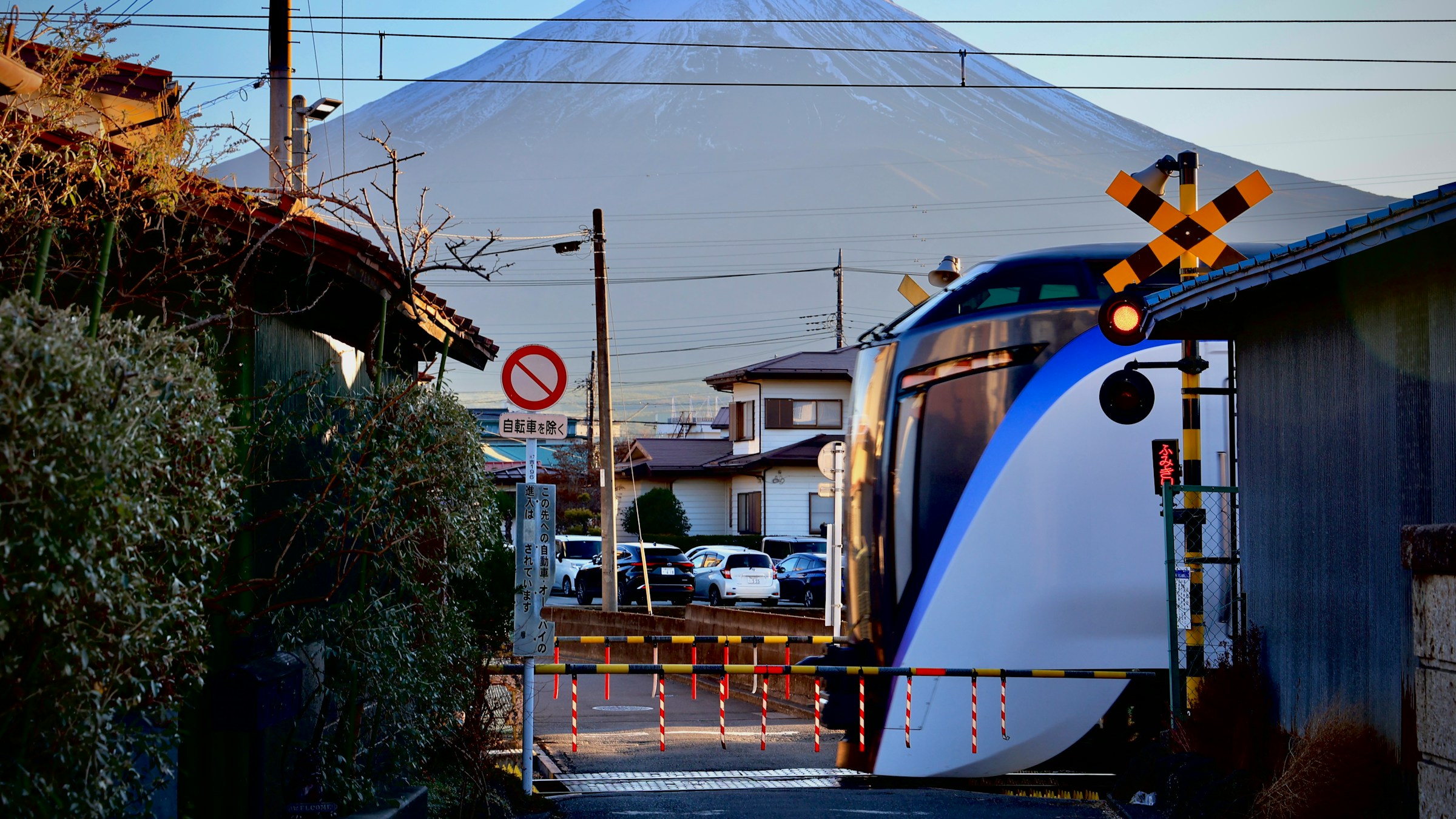 高い山を背景に走る青と白の列車。